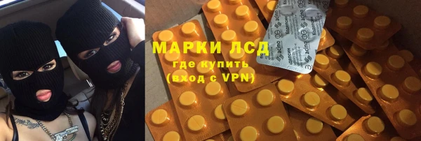 ПСИЛОЦИБИНОВЫЕ ГРИБЫ Богородск