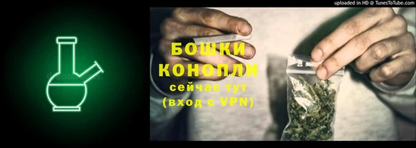 ПСИЛОЦИБИНОВЫЕ ГРИБЫ Богородск