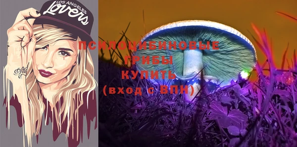 таблы Богданович