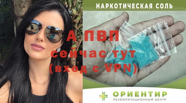 ПСИЛОЦИБИНОВЫЕ ГРИБЫ Богородск