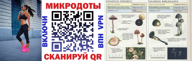 Галлюциногенные грибы мухоморы  цена   Дальнереченск 